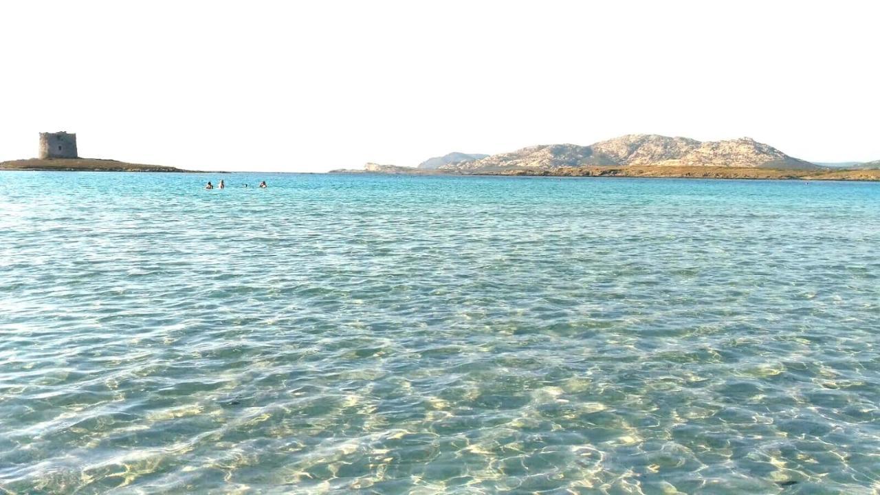 Il Gatto Pescatore * Stintino